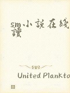 sm小说在线阅读