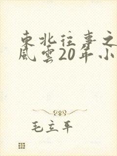 东北往事之黑道风云20年小说