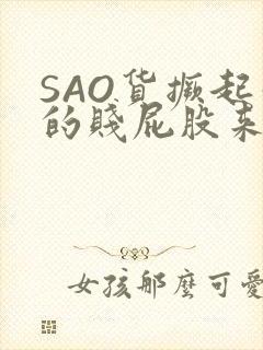 SAO货撅起你的贱屁股来