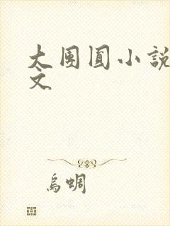 大团圆小说集全文