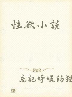 性欲小说
