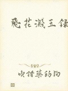 飞花溅玉录