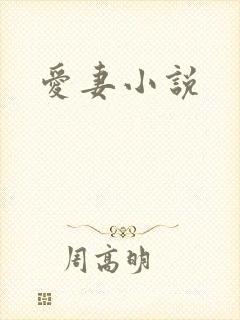 爱妻小说