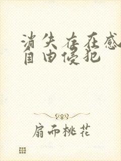 消失存在感消失自由侵犯