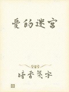 爱的迷宫