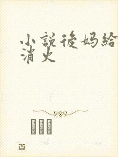 小说后妈给我消消火