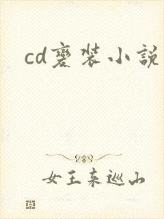 cd变装小说