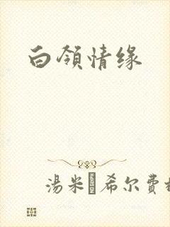白领情缘