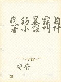 我的暴露日记原著小说叫什么