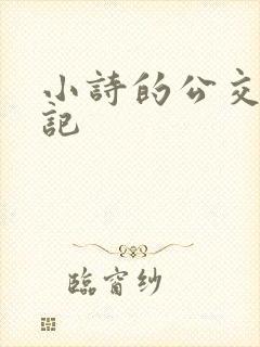 小诗的公交车日记