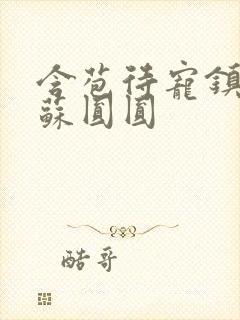 含苞待宠镇国公苏圆圆