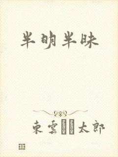 半明半昧
