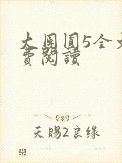大团圆5全文免费阅读