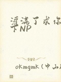 灌满了求你们停下NP