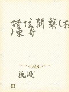 错位关系(校园)东哥