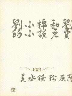 刘小棉和刘易文的小说免费阅读