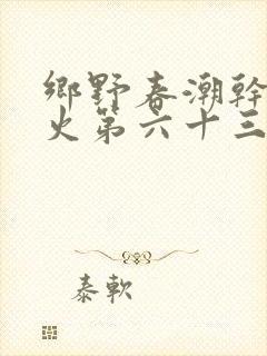 乡野春潮干柴烈火第六十三章