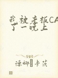 我被老板CAO了一晚上