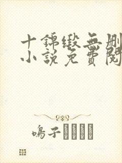 十锦缎无删原著小说免费阅读