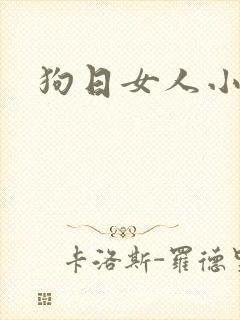 狗日女人小说