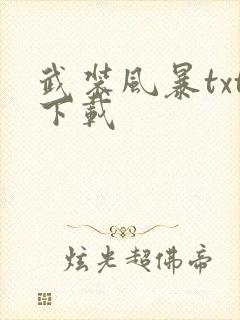 武装风暴txt下载