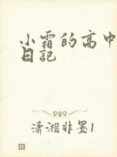 小霜的高中成长日记