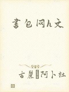 书包网h文