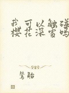 我可以触碰你的樱花深处吗