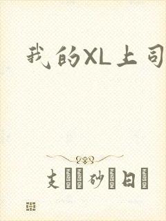 我的XL上司