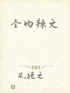 全肉辣文