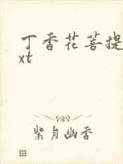 丁香花菩提树txt