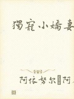 独宠小娇妻