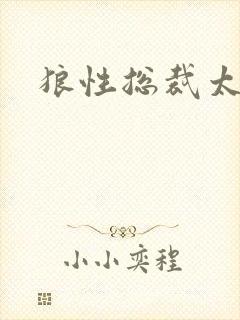 狼性总裁太凶猛