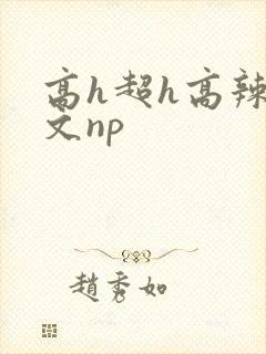 高h超h高辣h文np