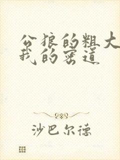 公狼的粗大挺进我的密道