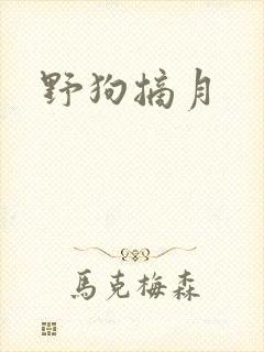 野狗摘月