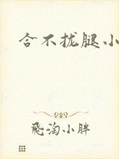 合不拢腿小说
