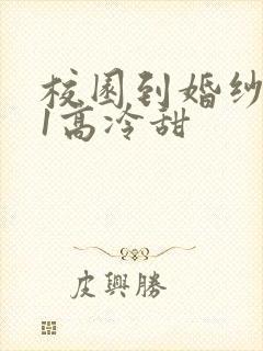 校园到婚纱1V1高冷甜