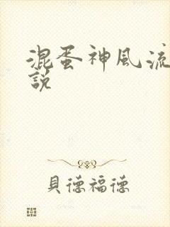 混蛋神风流史小说