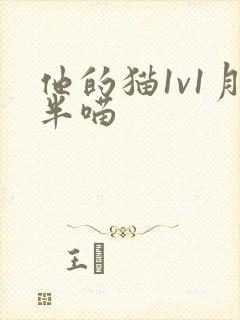 他的猫1v1月半喵