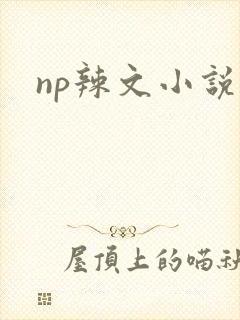 np辣文小说