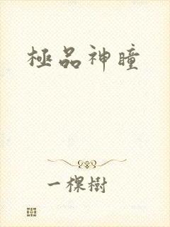 极品神瞳