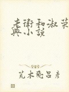 老卫和淑荣的经典小说