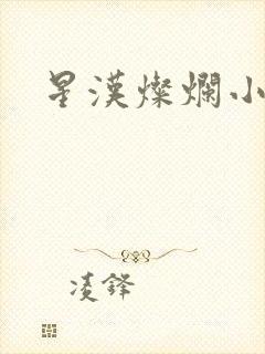 星汉灿烂小说