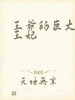 王爷的巨大进入王妃