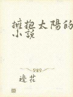 拥抱太阳的月亮小说