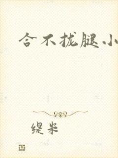 合不拢腿小说