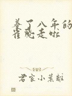 养了八年的金丝雀飞走啦