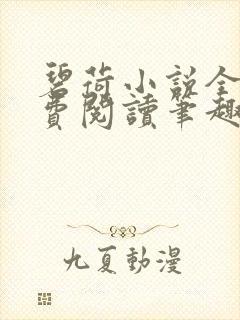 碧荷小说全文免费阅读笔趣阁