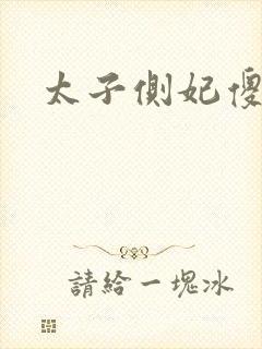 太子侧妃傻乎乎